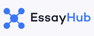 write my essay by essayhub
